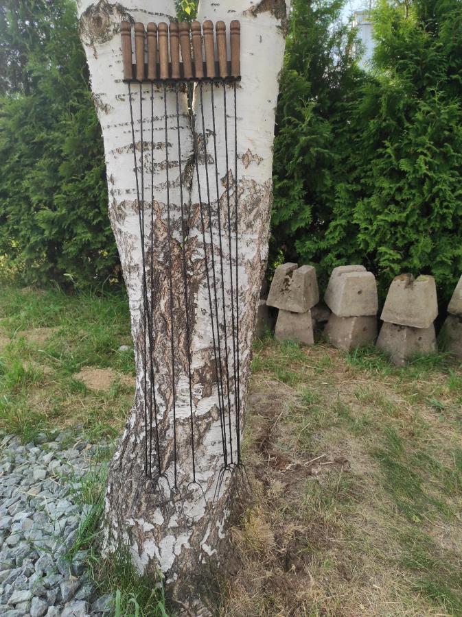Ekologiczny Domek "Ciszyca" Z Widokiem Na Sniezke Kostrzyca Exteriér fotografie