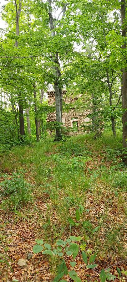 Ekologiczny Domek "Ciszyca" Z Widokiem Na Sniezke Kostrzyca Exteriér fotografie